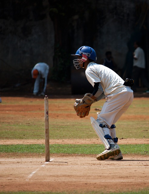 Analyzing IPL’s Influence on Cricketing Groundskeeping Sustainability