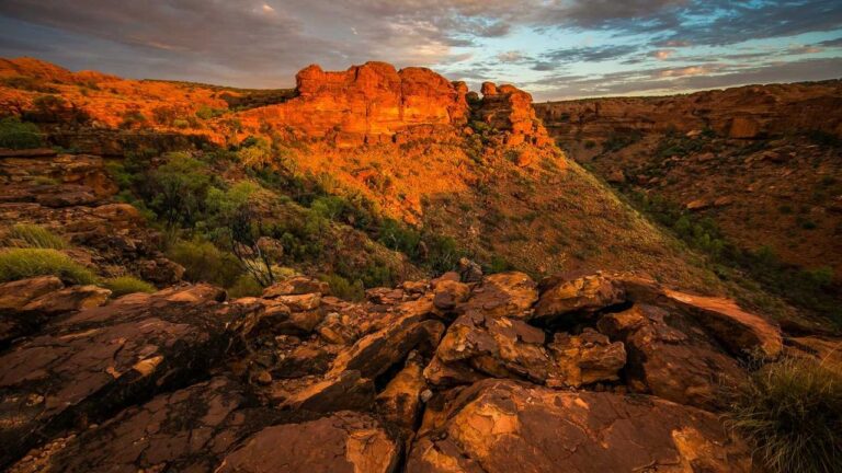 How Accurate Are Cricbet99 Prediction Tools?